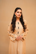 Skin Tone Sheesha Work 2-Piece Suit